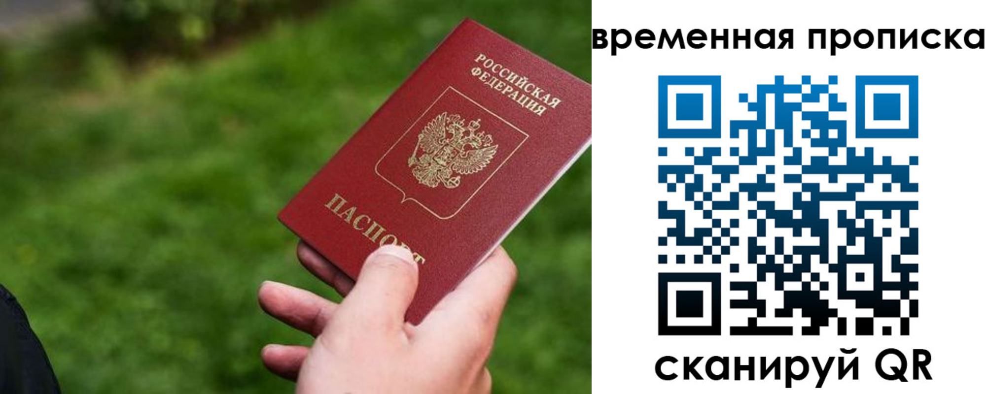 прописка 2025 в Асино